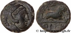 MACEDONIA - MACEDONIAN KINGDOM - KASSANDER Unité de bronze