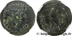 ÉGYPTE - ROYAUME LAGIDE - PTOLÉMÉE II PHILADELPHE Hemichalque