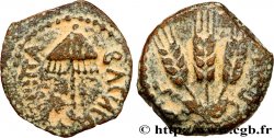 JUDÉE - ROYAUME D HÉRODE - AGRIPPA Ier Prutah TTB