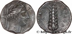 LUCANIA - METAPONTION Nomos ou didrachme