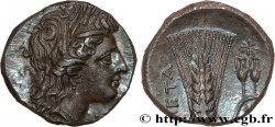LUCANIE - MÉTAPONTE Nomos, statère ou didrachme SPL