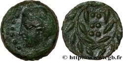 SICILE - HIMÈRE Hemilitron