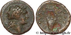 SICILE - CENTURIPE Semis