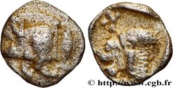 MYSIE - CYZIQUE Hemiobole TTB