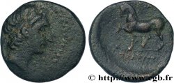 SYRIA - SELEUKID KINGDOM - SELEUKOS II KALLINIKOS Unité