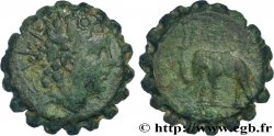 SYRIE - ROYAUME SÉLEUCIDE - ANTIOCHUS VI DIONYSOS Unité