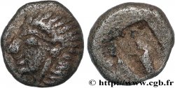 IONIE - COLOPHON Hemiobole