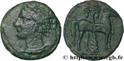 ZEUGITANE - CARTHAGE Unité