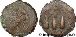 ZEUGITANE - CARTHAGE Demi-shekel