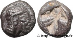 IONIE - COLOPHON Tetartemorion