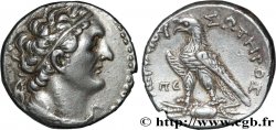 EGYPTUS - PTOLEMAIC KINGDOM - PTOLEMY VI PHILOMETOR Tétradrachme AU/AU