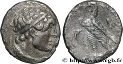 EGYPTUS - PTOLEMAIC KINGDOM - PTOLEMY VI PHILOMETOR Didrachme XF