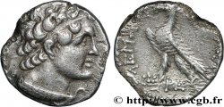 ÉGYPTE - ROYAUME LAGIDE - PTOLÉMÉE VI PHILOMÉTOR Didrachme