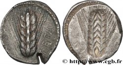 LUCANIA - METAPONTION Nomos, statère ou tridrachme