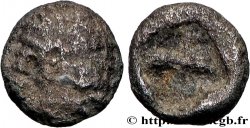 IONIE - COLOPHON Tetartemorion TTB