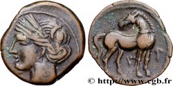 ZEUGITANA - CARTHAGE Shekel