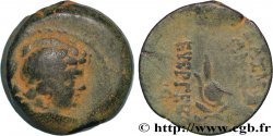SYRIE - ROYAUME SÉLEUCIDE - ANTIOCHUS VII SIDETES Unité TB+
