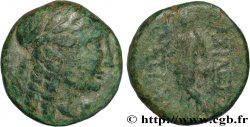 SYRIA - SELEUKID KINGDOM - ANTIOCHUS III THE GREAT Demi-unité