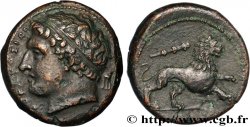 SICILY - SYRACUSE Litra