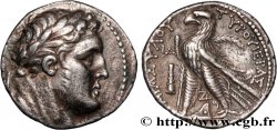 PHOENICIA - TYRE Tétradrachme ou shekel AU