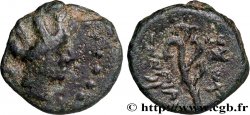 PHOENICIA - ARADOS Hemichalque
