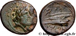 PHOENICIA - ARADOS Hemichalque