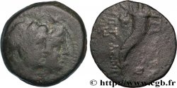 PHOENICIA - AKE-PTOLEMAÏS Hemichalque