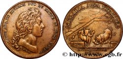 ARTILLERIE Louis-Auguste de Bourbon, duc du Maine, Guerre de Succession d Espagne 1703