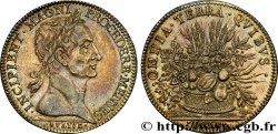 LOUIS XIII LE JUSTE Naissance de Louis XIV SUP