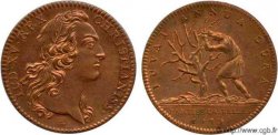REVENUS CASUELS 1747