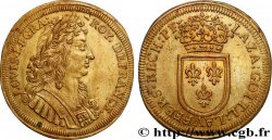 ROUYER - X.JETONS DE NUREMBERG Louis XIV n.d.