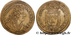 LOUIS XIV THE GREAT or THE SUN KING Jean-Conrad Höger n.d.