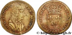 LOUIS XIV LE GRAND ou LE ROI SOLEIL Conrad Lauffer n.d.