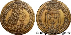 LOUIS XIV LE GRAND ou LE ROI SOLEIL Jean-Conrad Höger n.d.