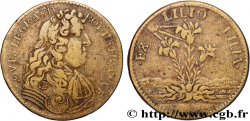 LOUIS XIV LE GRAND ou LE ROI SOLEIL LOUIS XIV LE GRAND OU LE ROI SOLEIL n.d.