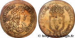 ROUYER - X. NUREMBERG JETONS AND TOKENS Louis XIV n.d.