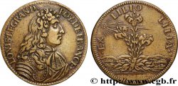 LOUIS XIV LE GRAND ou LE ROI SOLEIL LOUIS XIV LE GRAND OU LE ROI SOLEIL n.d.
