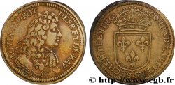 LOUIS XIV LE GRAND ou LE ROI SOLEIL Conrad Lauffers n.d.