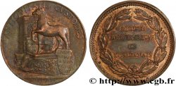 ORLÉANAIS - Nobility and towns Jeton Br 31, Société archéologique de l’Orléanais 1848