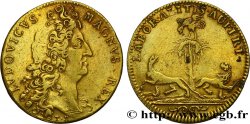 LOUIS XIV LE GRAND ou LE ROI SOLEIL Guerre de succession d’Espagne n.d.