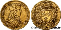 LOUIS XIV LE GRAND ou LE ROI SOLEIL L’enfance n.d.