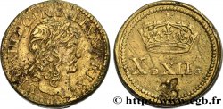 LOUIS XIII  Poids monétaire pour le double louis d’or de forme circulaire XF