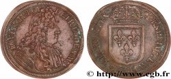 LOUIS XIV LE GRAND ou LE ROI SOLEIL  fSS