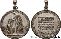 ALLEMAGNE - RÉPUBLIQUE DE WEIMAR Médaille, Inflation 1 décembre 1923