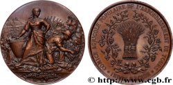 AGRICULTURAL, HORTICULTURAL, FISHING AND HUNTING SOCIETIES Médaille, Comice agricole populaire
