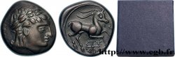 ALLOBROGES (Région du Dauphiné) Médaille, Reproduction du Denier au cervidé et à la roue, tête à droite, n°263