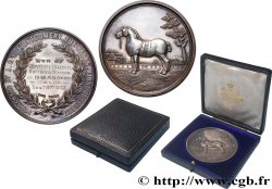 GRANDE-BRETAGNE - ÉDOUARD VII Médaille, Concours, Border Union Society Show