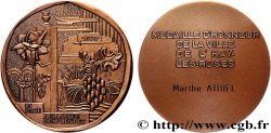 V REPUBLIC Médaille, Honneur de la ville de l’Hay-les-Roses