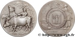 TROISIÈME RÉPUBLIQUE Médaille, Comité d’agriculture de Beaune