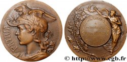TROISIÈME RÉPUBLIQUE Médaille, Syndicat de la Marée